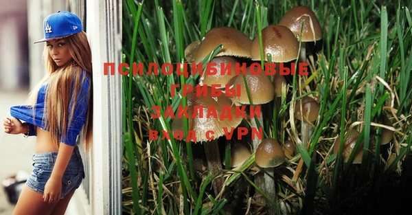 дмт Волосово