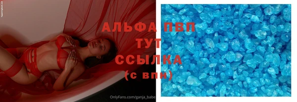 спиды Магас