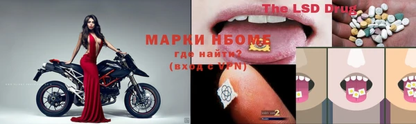 ECSTASY Майский