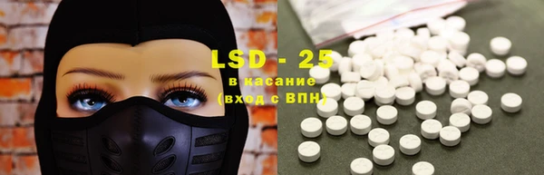 ECSTASY Майский