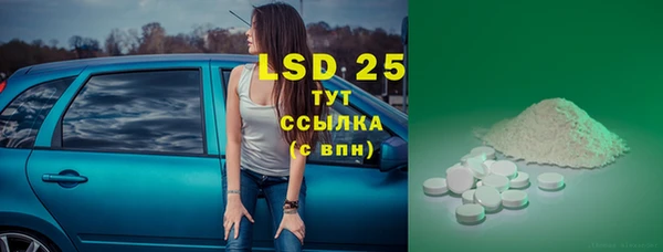 ECSTASY Майский