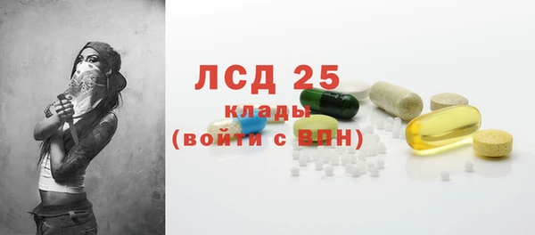 спиды Магас