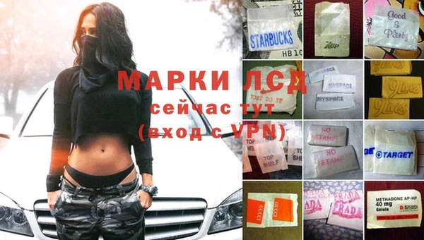спиды Магас