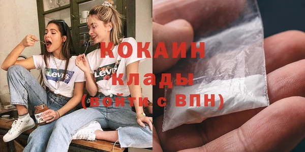 дживик Бронницы
