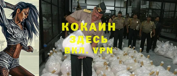 ECSTASY Майский
