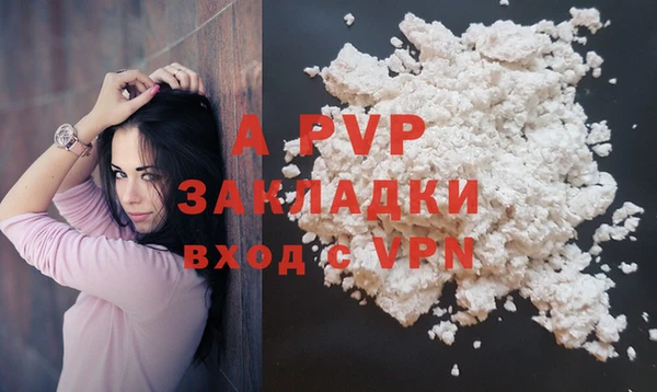 ECSTASY Майский