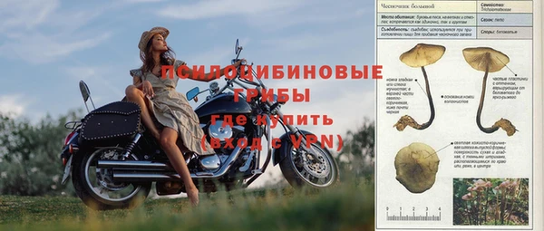 круглые Бородино