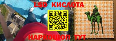 дживик Бийск