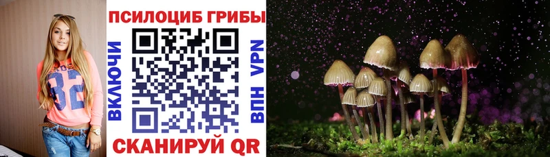 Псилоцибиновые грибы прущие грибы  Кемерово 
